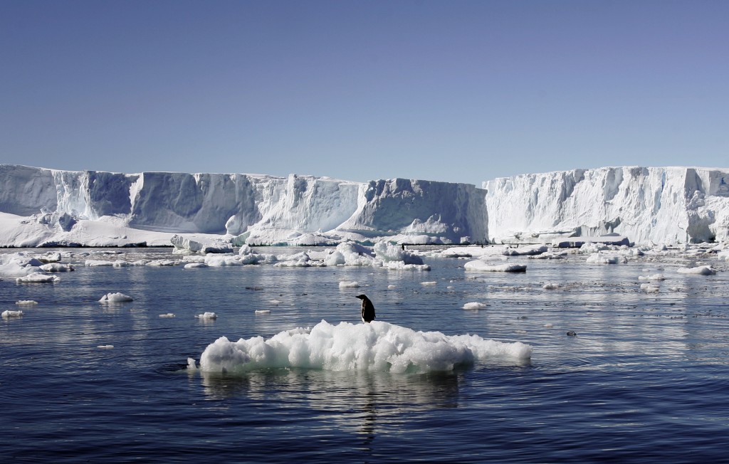 An Adelie penguin stands atop a block of melting ice near the French station at Dumont dUrville in East Antarctica